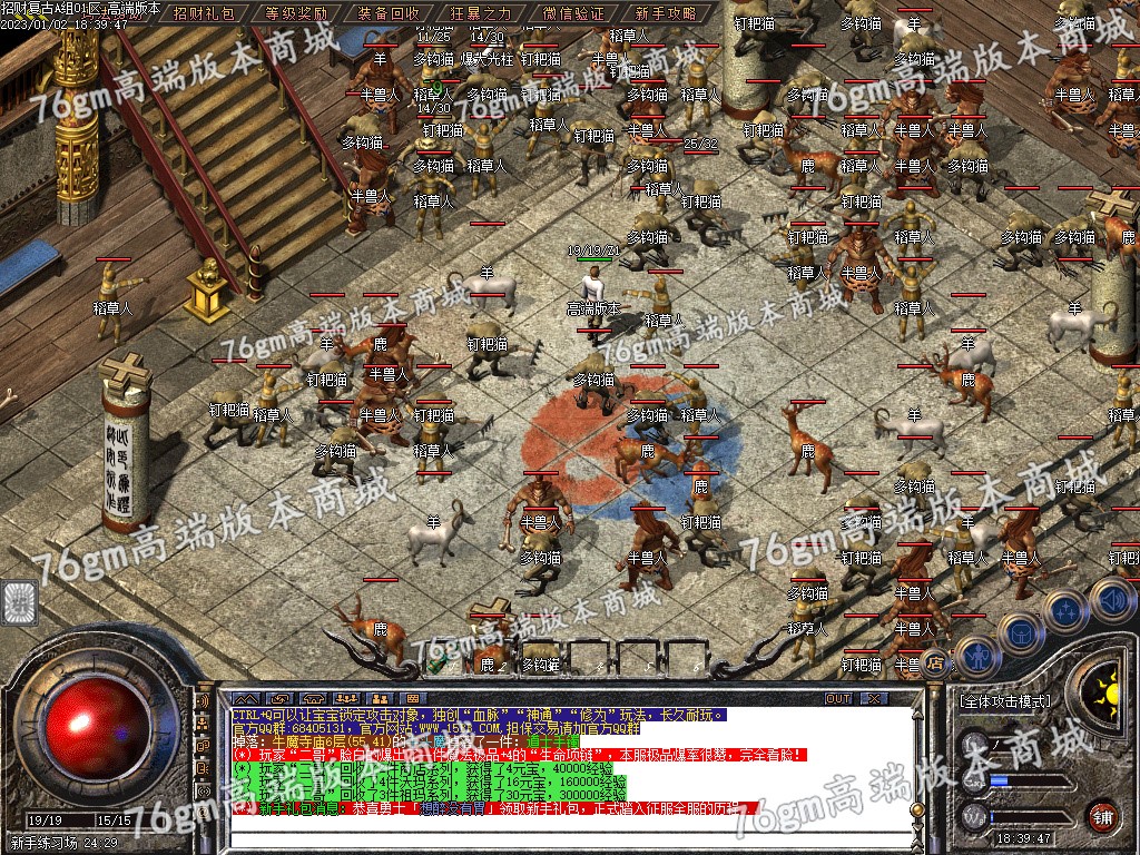 5.jpg